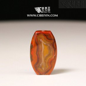 '선견지명' 진화석 펜던트-10-005