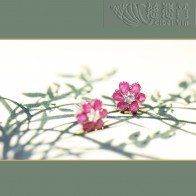 快樂圓舞曲-紅寶石耳環