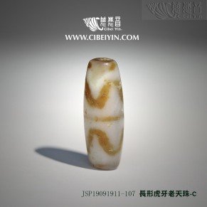 長形虎牙老天珠-107