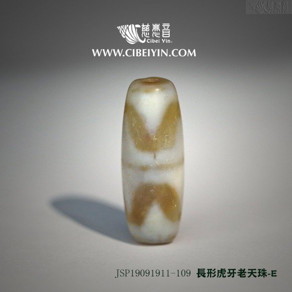 長形虎牙老天珠-109