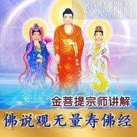 金菩提宗师讲解 《佛说观无量寿佛经》