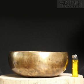 老钵-塔多巴帝10