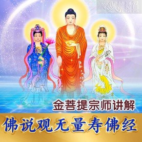 金菩提宗师讲解 《佛说观无量寿佛经》