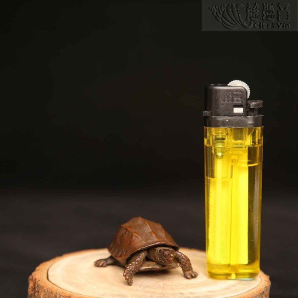 Tortoise Ornament