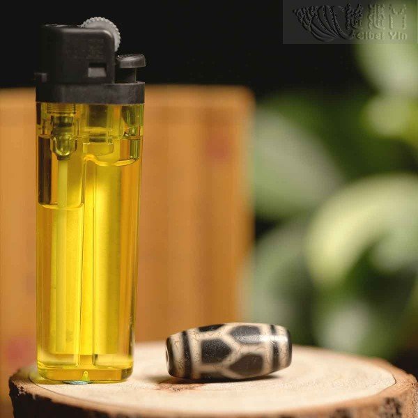 Turtle Shell Ancient Dzi Bead