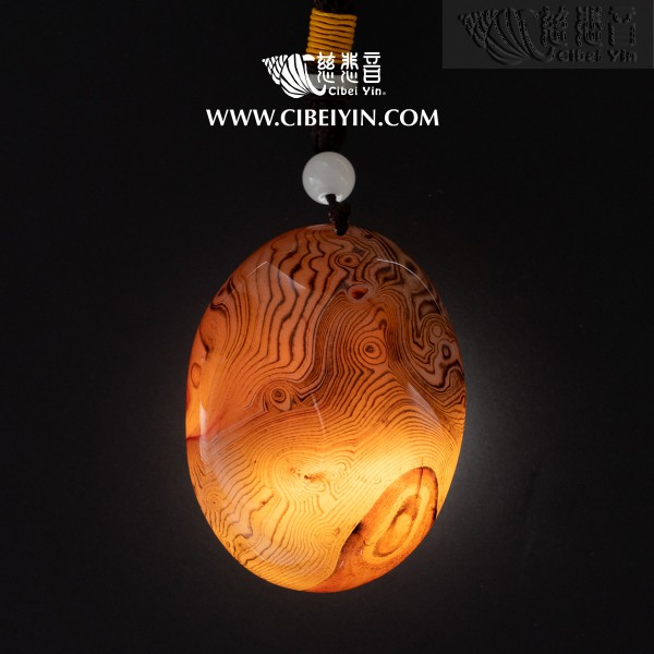  "Golden Swallowing Beast"Agate Handheld (Extra Large)-047