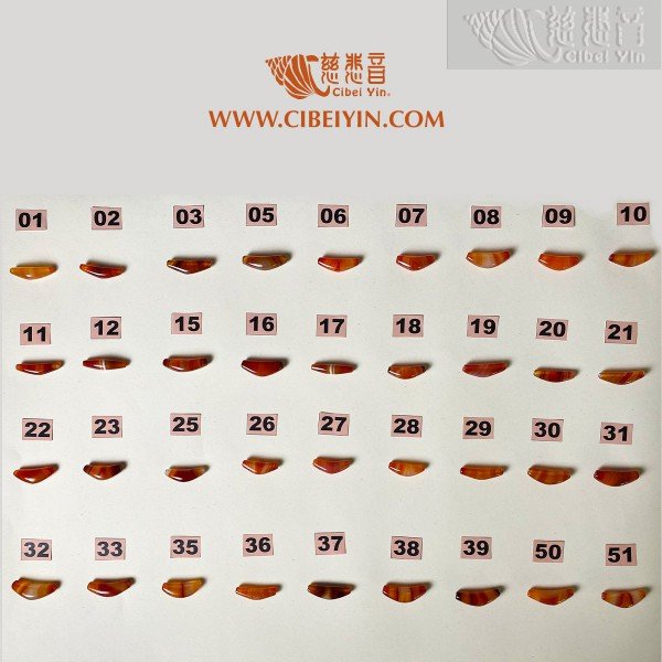 Horn-Shaped Dzi Bead (Natural Red Sardonyx) - A1 with Special Blessing