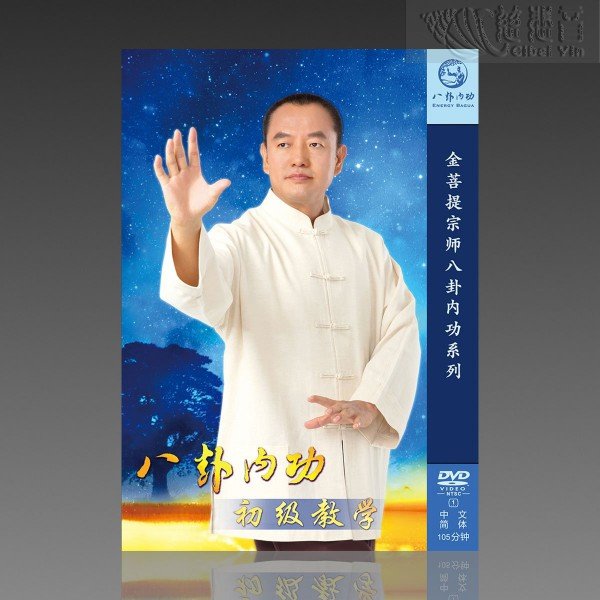 Energy Bagua Primary Teaching Guide MP4 (Mandarin/Simplified)