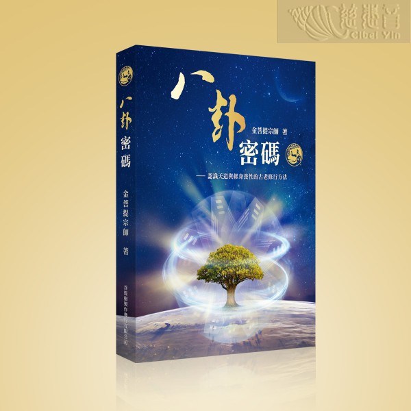 Energy Bagua: The Secret Code of Life (Traditional Chinese)