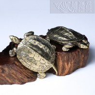 Solid Brass Longevity Turtle