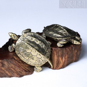 Solid Brass Longevity Turtle