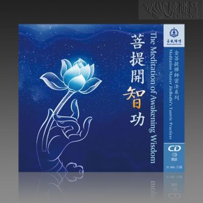 The Meditation of Awakening Wisdom MP3 (Mandarin)