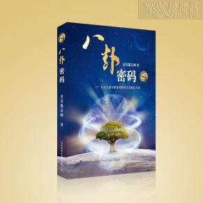 Energy Bagua: The Secret Code of Life (Simplified Chinese)