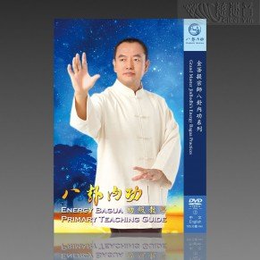 Energy Bagua Primary Teaching Guide MP4 (Mandarin/English)