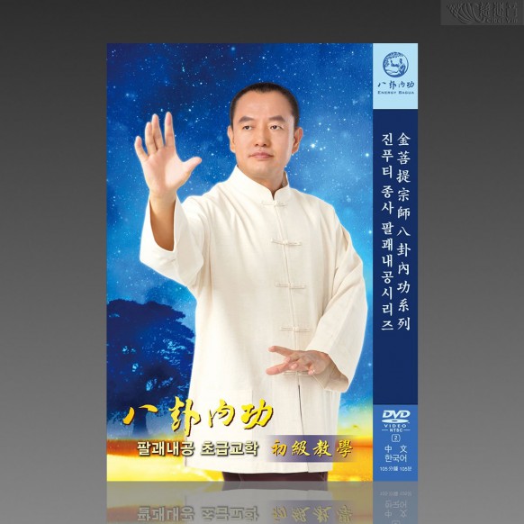 Energy Bagua Primary Teaching Guide MP4 (Mandarin/Korean)